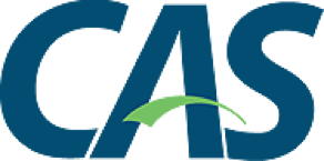 Central Authentication Service